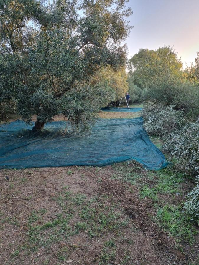 Majori Villa Fluminimaggiore Dış mekan fotoğraf