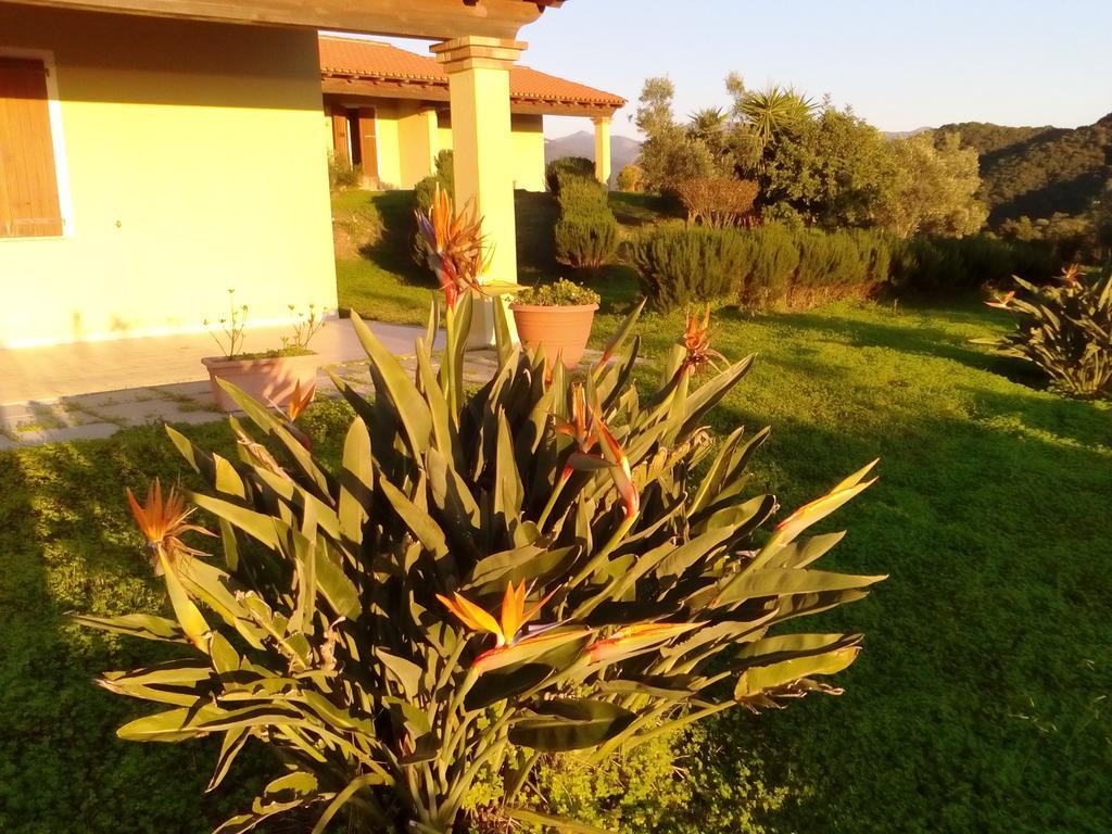Majori Villa Fluminimaggiore Dış mekan fotoğraf